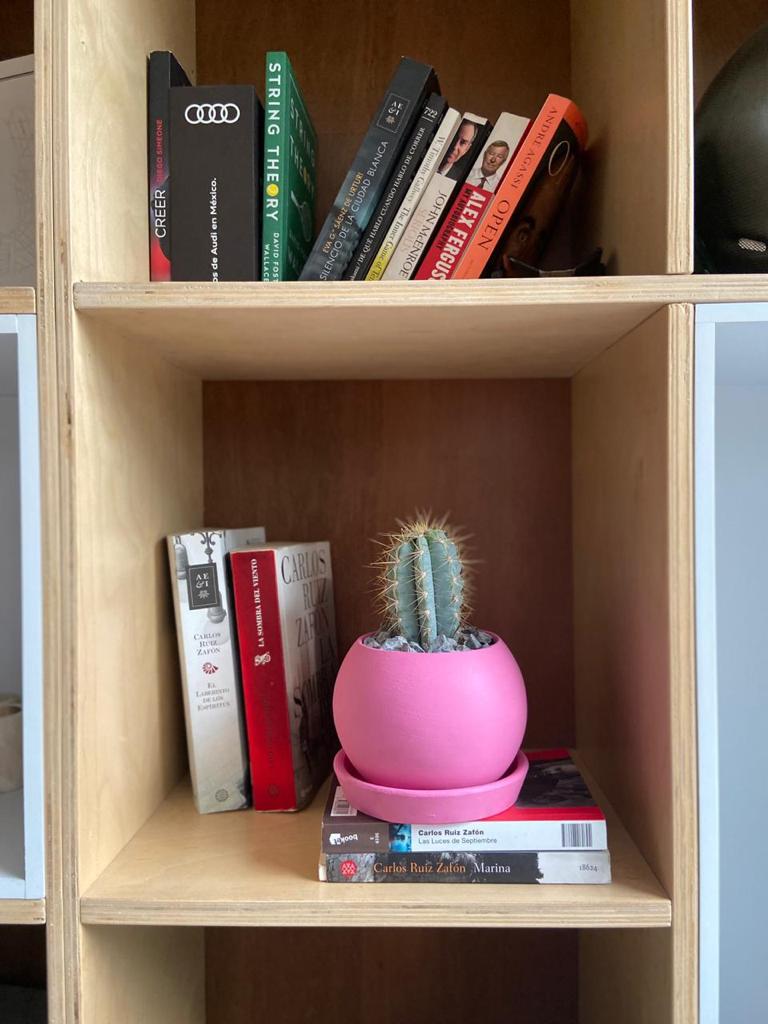 Plantify, Cactus en maceta esfera chica con plato